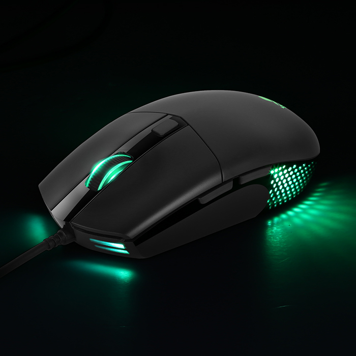 A660 Professional Gaming Mouse